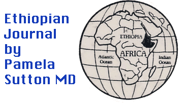 Ethiopian Journal by Dr. Pamela Sutton
